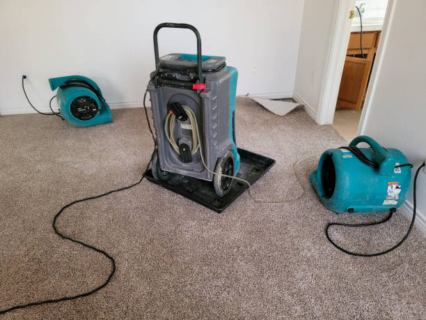Best Residential water damage restoration  in Benicia, CA