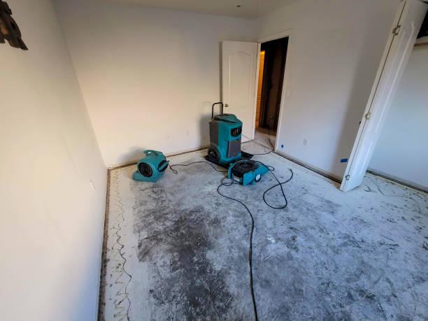 Best Ceiling water damage repair  in Benicia, CA
