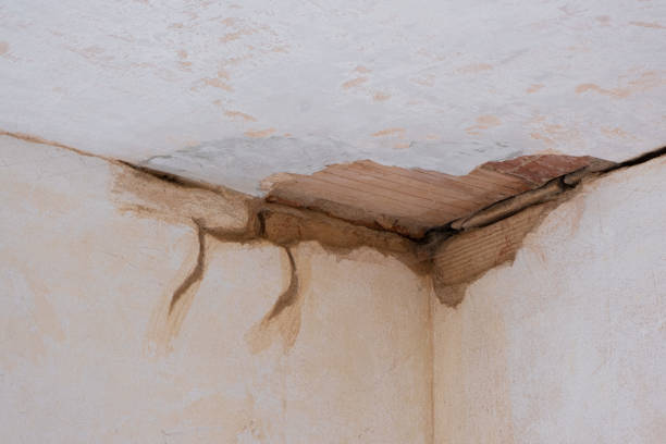 Best Water damage restoration cost  in Benicia, CA
