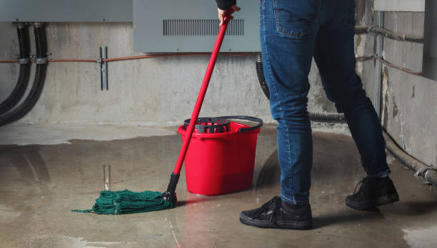 Best Flooded house restoration  in Benicia, CA