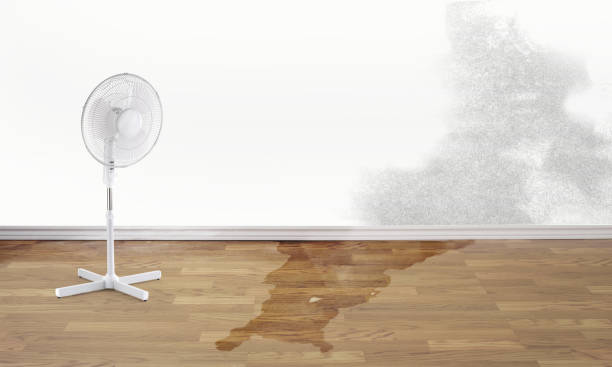 Best Water damage restoration mold remediation  in Benicia, CA