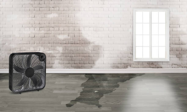 Best Flood restoration services  in Benicia, CA