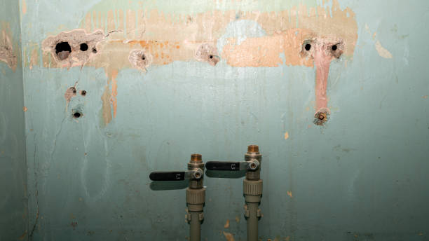 Best Flooded house restoration  in Benicia, CA