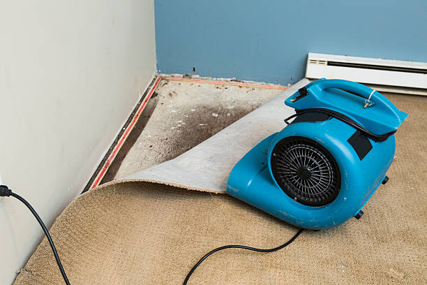 Best Water damage cleanup near me  in Benicia, CA
